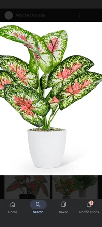 Potted Plant Sim