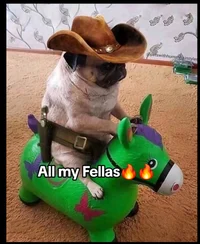 Cowboy dog 