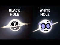 Black n White holes