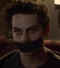 Void stiles 