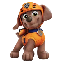 APaw patrol Zuma TF 
