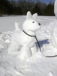 Snow pup 6