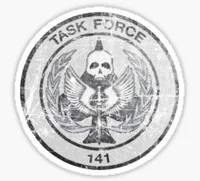 Task force 