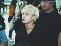 bang chan 