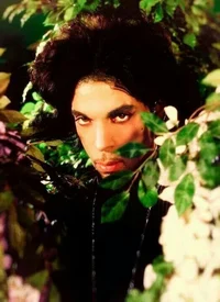 Prince Rogers Nelson