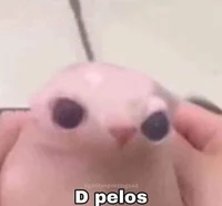 de pelos