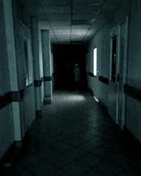 mental hospital 