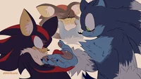 WereVamp Sonadow