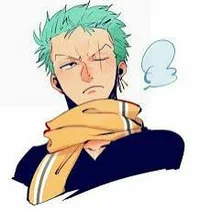 Zoro childhoodfriend