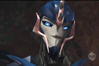 ARCEE- TFP