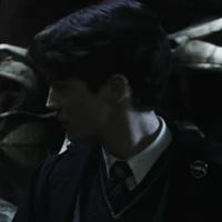 HP - Tom Riddle