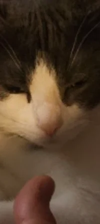 Random tt story I he