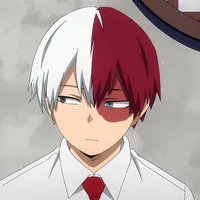 Shoto Todoroki