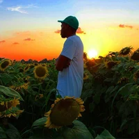 Flower Boy - Tyler