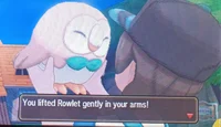 You picked up Rowlet