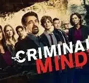 Criminal minds
