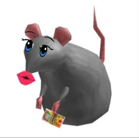 денис котик 