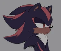 -Shadow T Hedgehog-