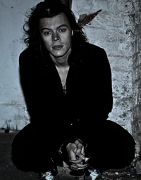 harry styles - lhh
