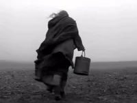 Turin Horse