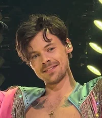Harry styles - 2023