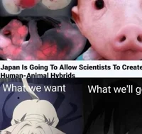 Japan - Countryhuman