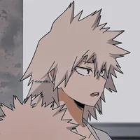 MITSUKI BAKUGO