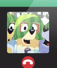 Radley Bandit Stripe