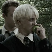 Draco lucius malfoy 