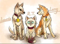 Pet Starr Hub Trio