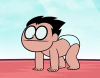 Pocket Robin