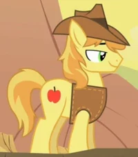 Braeburn 