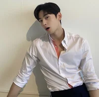 Cha Eunwoo