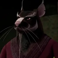 Master splinter 
