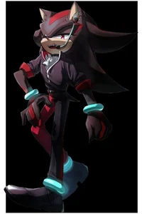 Shadow the hedgehog