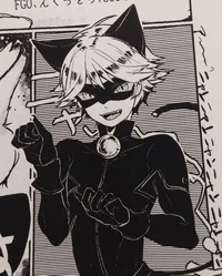 Chatnoir