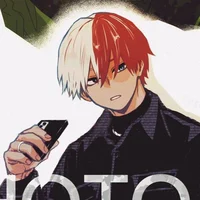 Shoto todoroki 