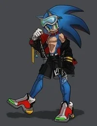 Sonic the hedgehog