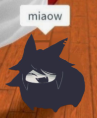 Miss Circle