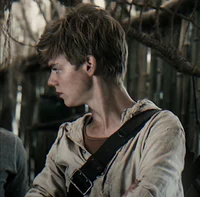 Newt- TMR