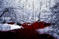 Bleeding Snow