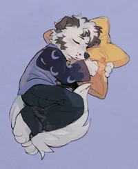 Cute furry puppy pet