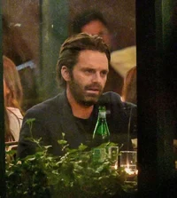 sebastian stan