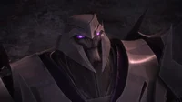 TFP- Megatron