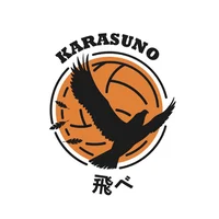 Karasuno Volleyball 