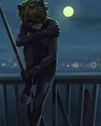 Chatnoir
