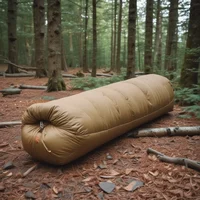 Sleeping bag baggute