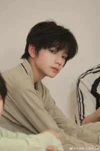 Wang Lujie