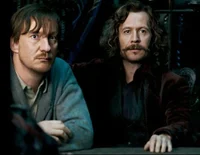 Sirius and Remus