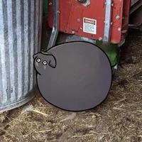 Konig